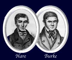 Hare_and_Burke