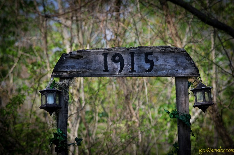 Manchac -The Ghost Swamp of New Orleans 3