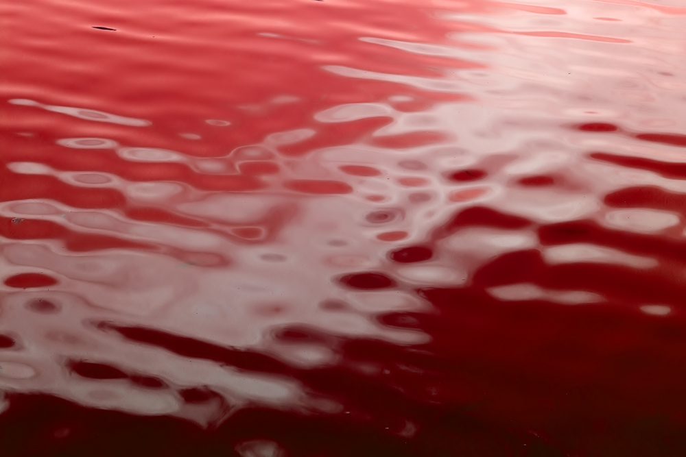 Section of China's Yangtze river turns red 9