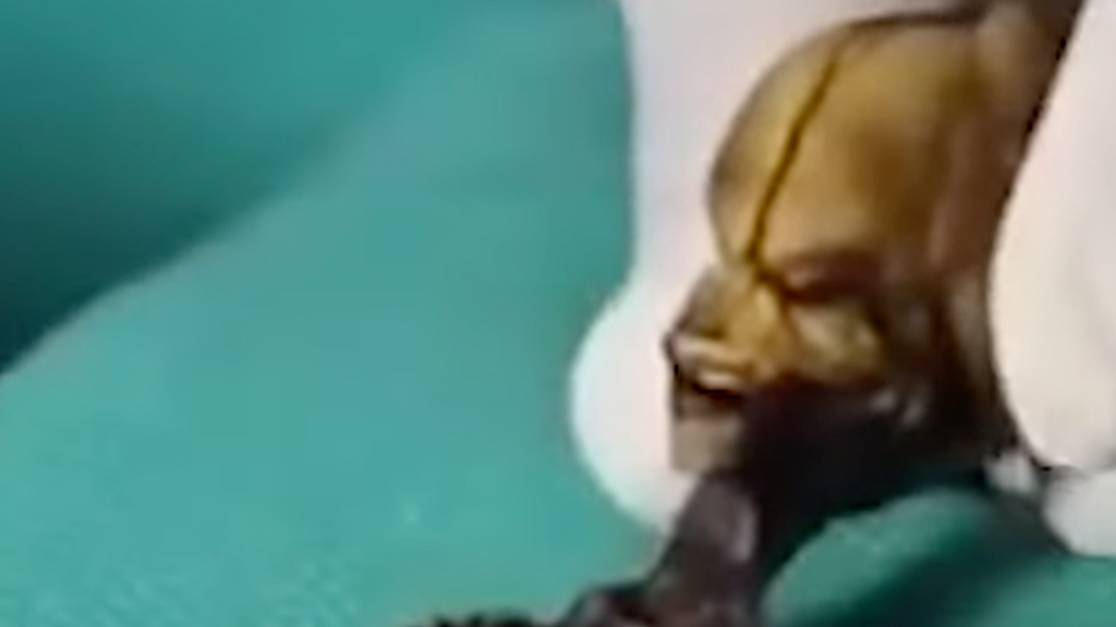 CLAIM: Extraterrestrial Mummy Found In Egypt 1