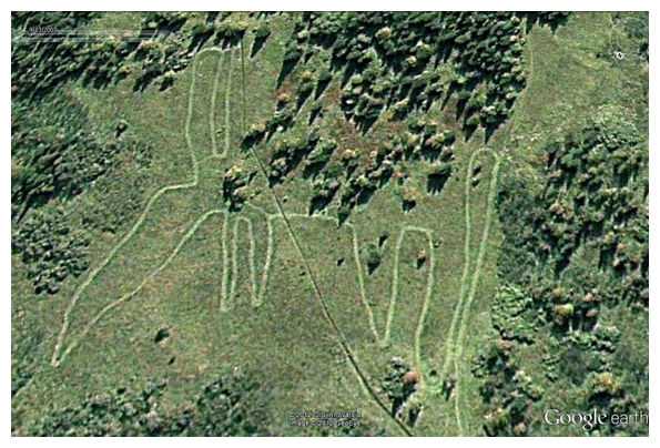 Mysterious elk-shaped structure discovered in Russia 40