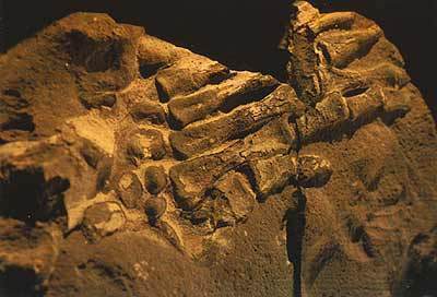 The Most Puzzling Ancient Artifacts 19