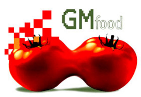 How Dangerous Is Genetically Modified Food? 4