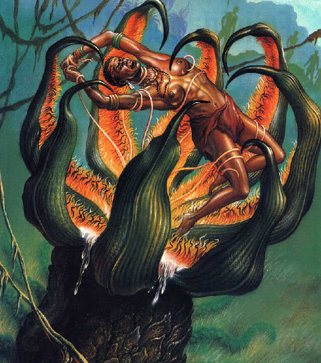 THE MADAGASCAN MAN-EATING TREE - MORE THAN JUST A MONSTROUS MYTH? 54
