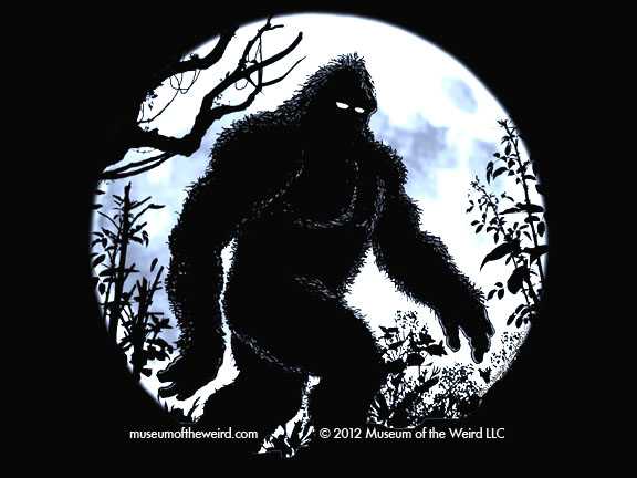 'Bigfoot' DNA Sequenced In Upcoming Genetics Study 31