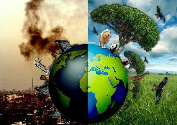 Ecocide: The Push to Criminalize Humanity For the Sake of Saving the Planet 41