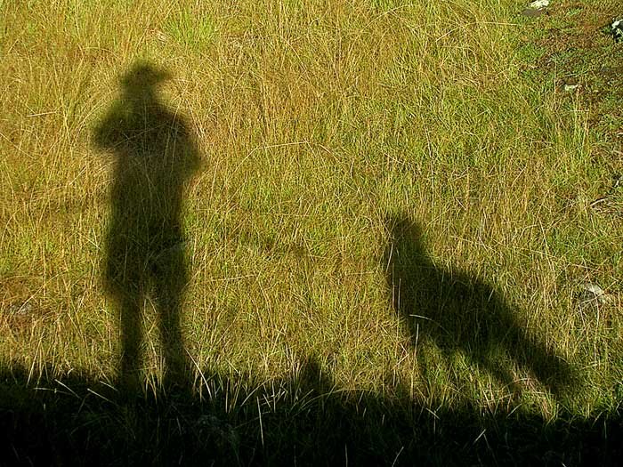 Why Not An Animal Afterlife? 1
