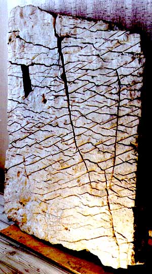 Russian Scientists Prove Dashka Stone (Map of The Creator) is Real 20