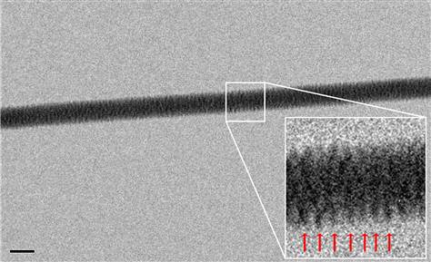 DNA is directly photographed for the first time 24