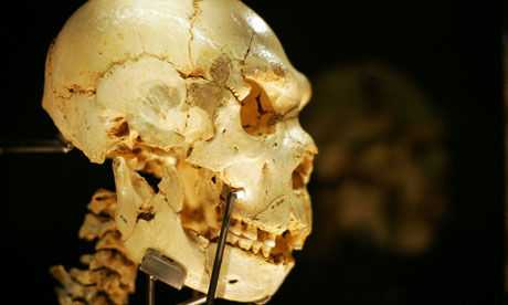 Scientists accused of distorting theory of human evolution 7