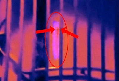 Image of dead girl captured in S’pore 22