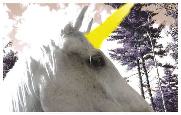North Korea has found a secret unicorn lair, apparently 37