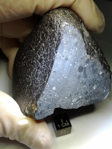 Meteorite carries ancient water from Mars 31