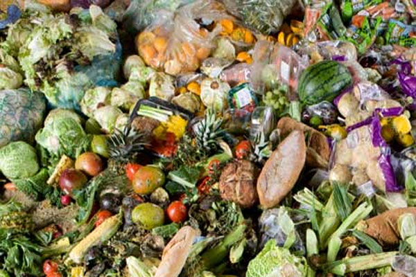 Almost half of the world’s food thrown away, report finds 17