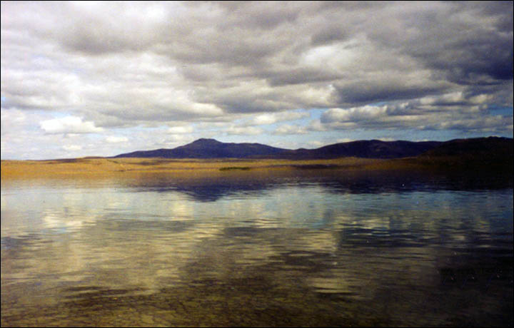 'Monster' remains found in Siberian lake 40