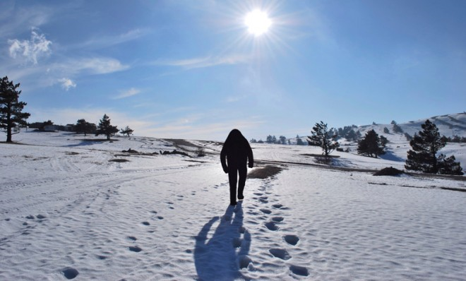 11 crazy Bigfoot conspiracy theories 24