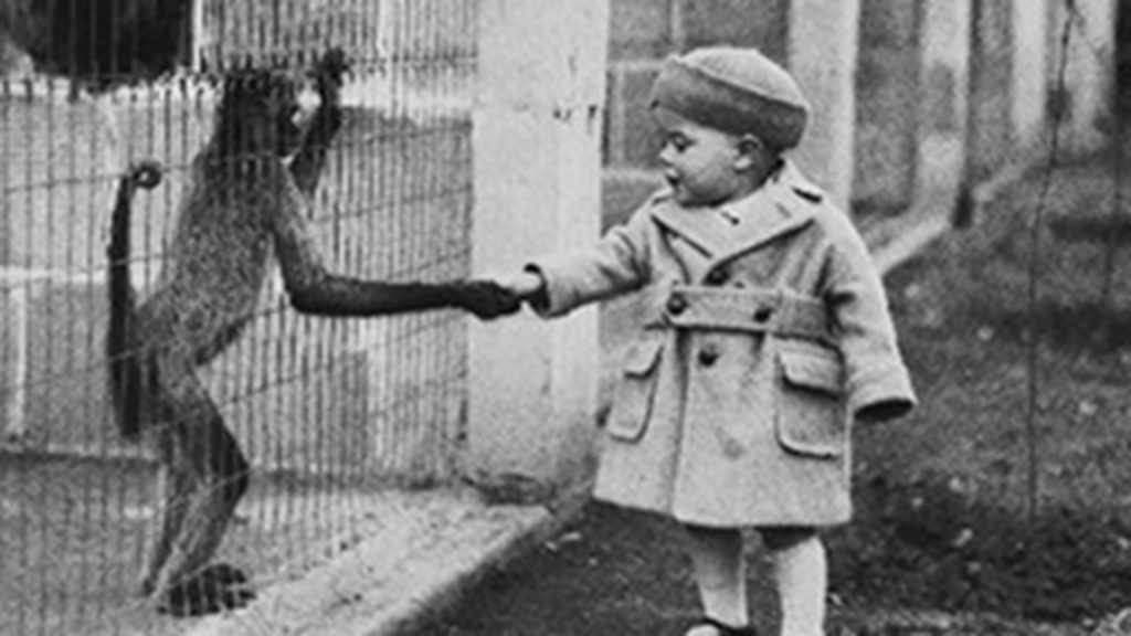 Human Resources: Social Engineering in the 20th Century 8