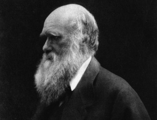 Charles Darwin Wrong About Coral Atolls, Shows Study 7