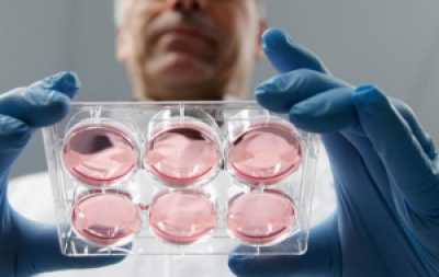 First human-engineered 'meat burger' to be consumed in London 7