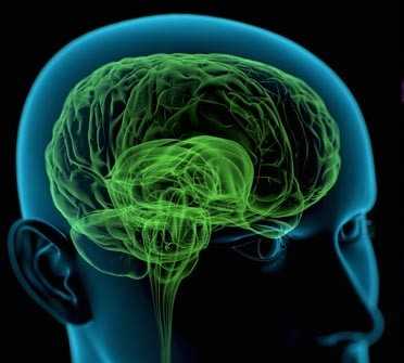 Age-defying: Master key of lifespan found in hypothalamus of the brain 5