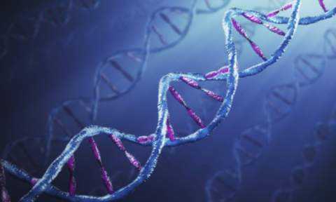 Species Alteration: Is GMO Rewiring our DNA? 1