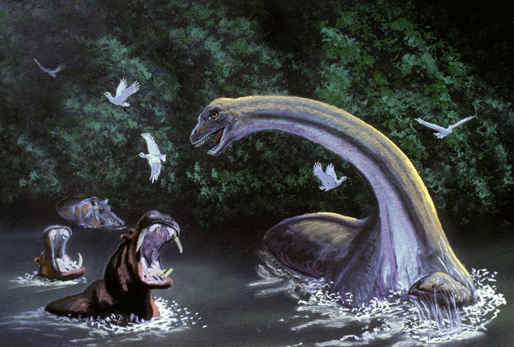 Cryptozoology In the Vatican 17