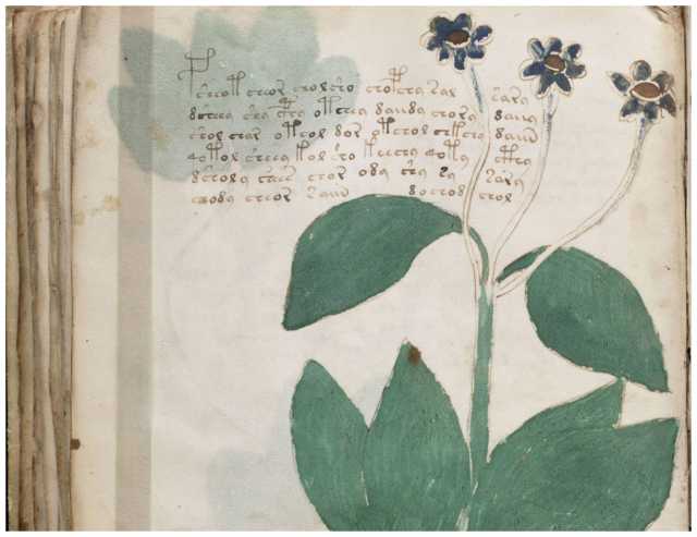 New signs of language surface in mystery Voynich text 20