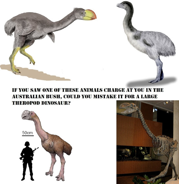 Australian "Theropod" Sightings and the Relict Dromornithid Hypothesis 8
