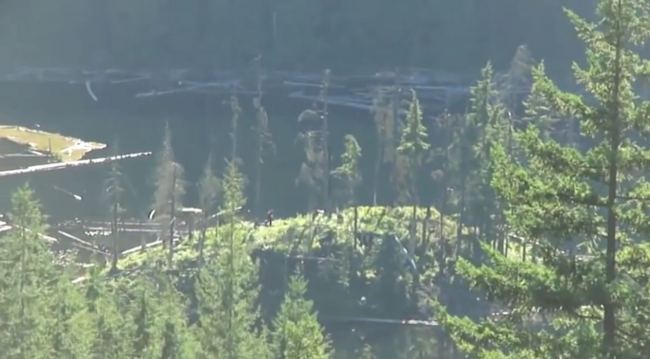 Hikers capture 'bigfoot' on film 40