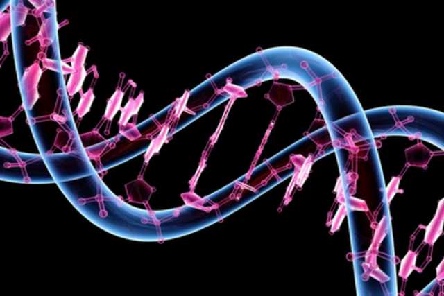 Russian researchers: The human 'Junk-DNA' is a biological Internet 19