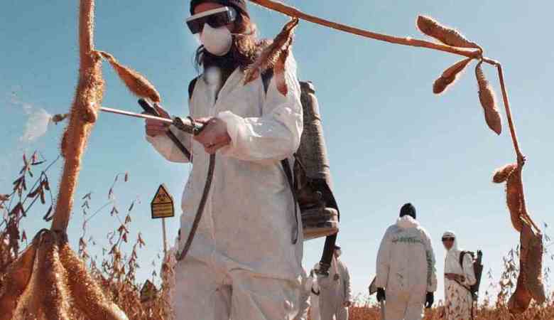 Italy to Ban Monsanto GMO Corn with 80% Public Support 1