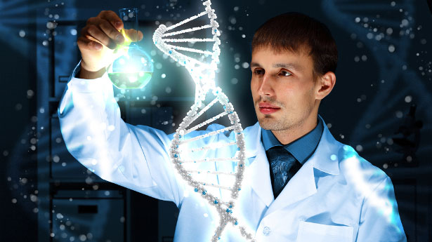 Scientists Discover Quadruple Helix: Four Strand DNA In Human Cells 56