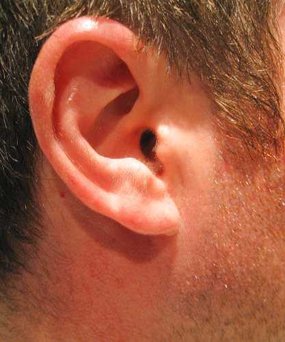 The Phenomenon of Strange Sounds Heard By Entire Communities 7