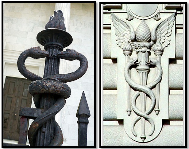The Occult Symbolism of the Bronx Zoo 205