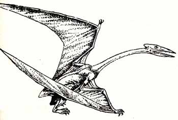 Quetzalcoatlus: the evil, pin-headed, toothy nightmare monster that wants to eat your soul 16