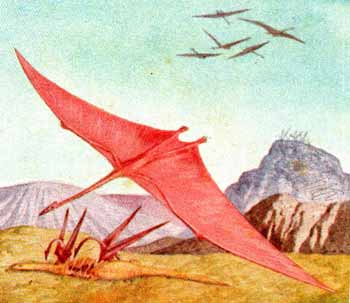 Quetzalcoatlus: the evil, pin-headed, toothy nightmare monster that wants to eat your soul 18