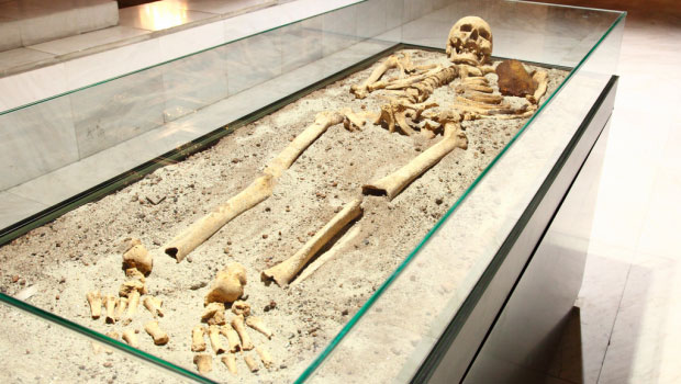Big Buried Secrets: Giant Skeletons and the Smithsonian 1