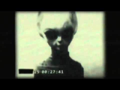 Grey Alien Captured: Double Top Secret Memo 5