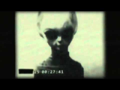 Grey Alien Captured: Double Top Secret Memo 17