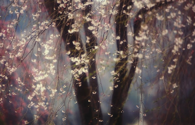 Winners of the 2013 National Geographic Traveler Photo Contest 28