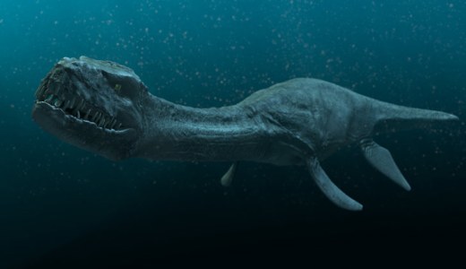 Sea Monster found 31