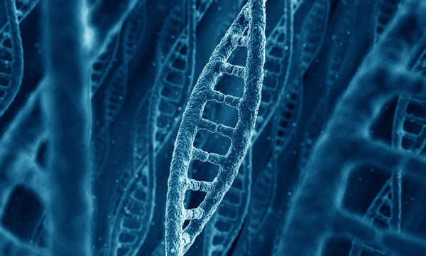 You Really Can Change Your DNA – Here’s How 9