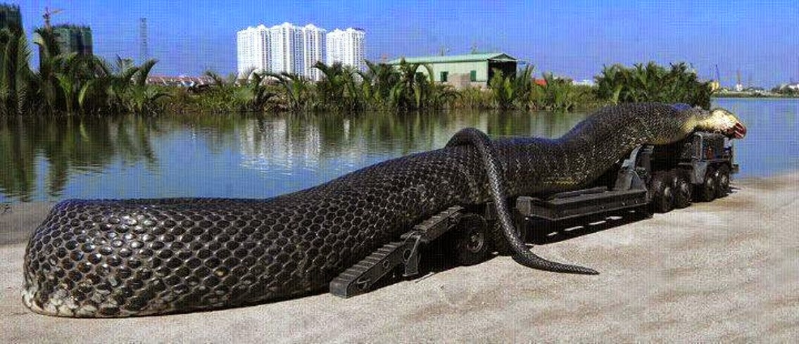 Giant Anacondas And Other Super-Sized Cryptozoological Snakes 40
