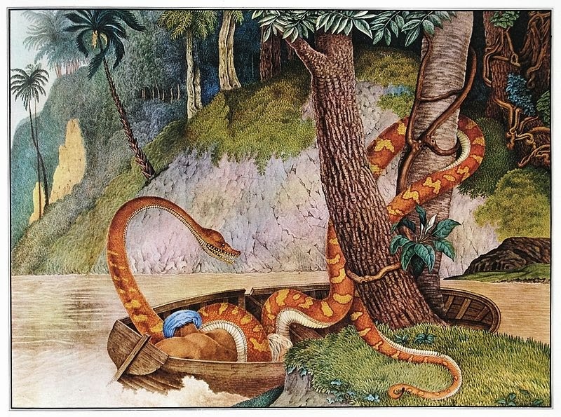 Giant Anacondas And Other Super-Sized Cryptozoological Snakes 30