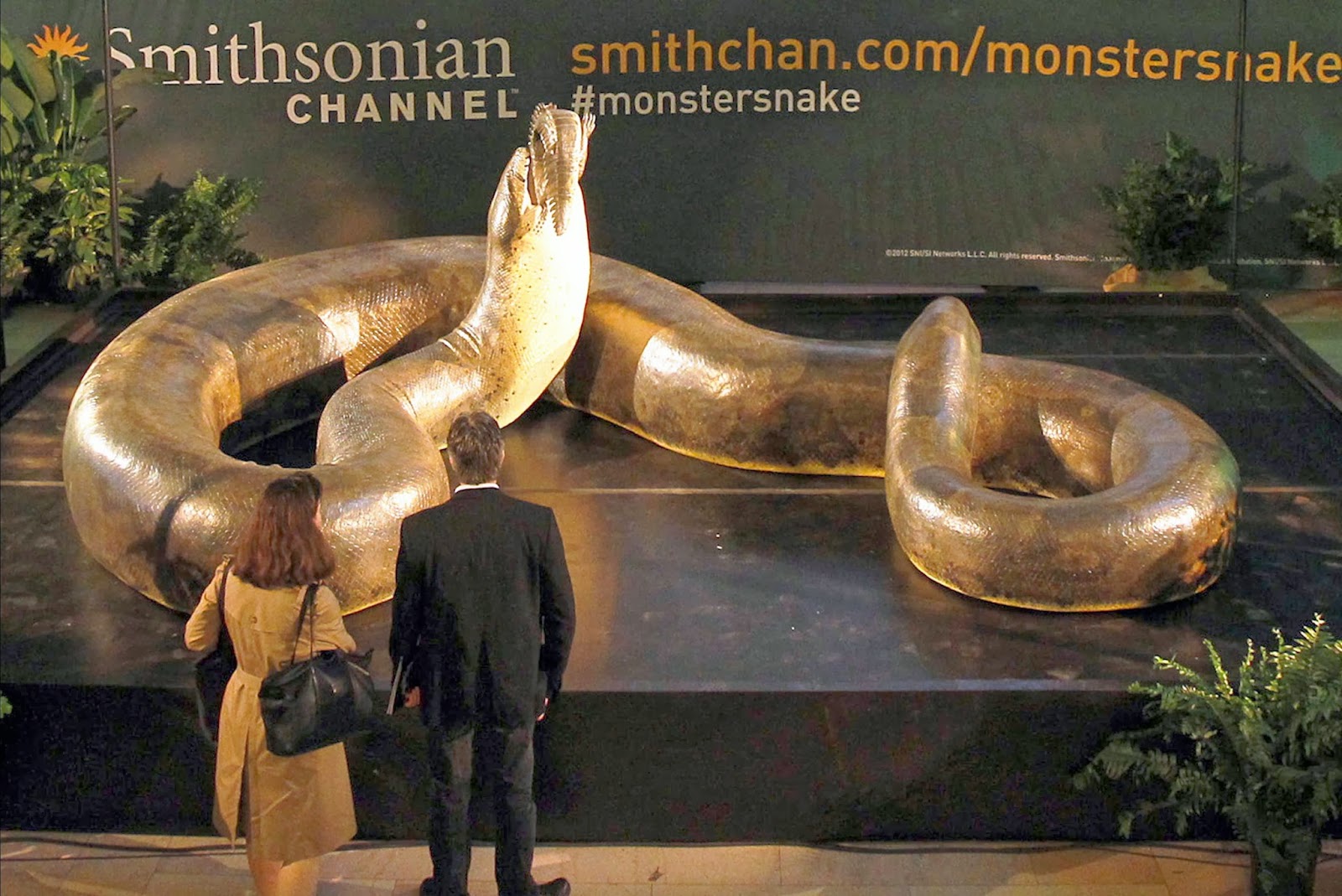 Giant Anacondas And Other Super-Sized Cryptozoological Snakes 42