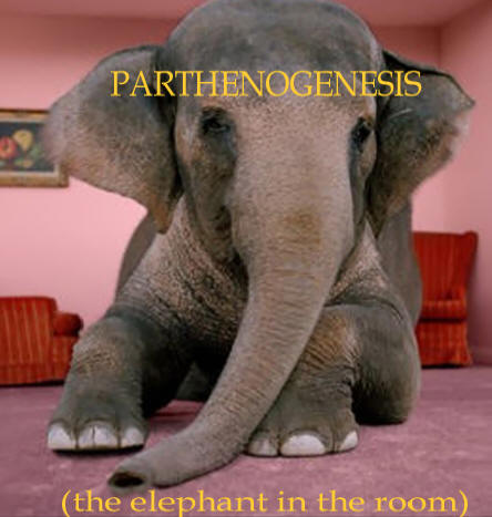 PARTHENOGENESIS: women’s long-lost ability to self-conceive 146
