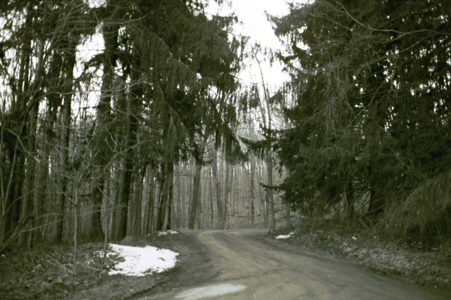 Is this the scariest road in America?