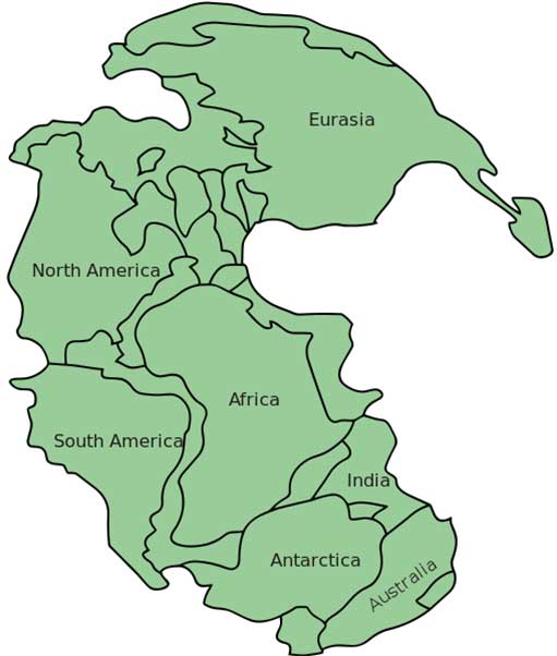 Pangaea