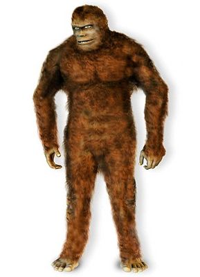 Does this image show TWO Bigfoot creatures? Woodsman photographed 'moving beast' in Pennsylvania... but there is no sign of it now 17