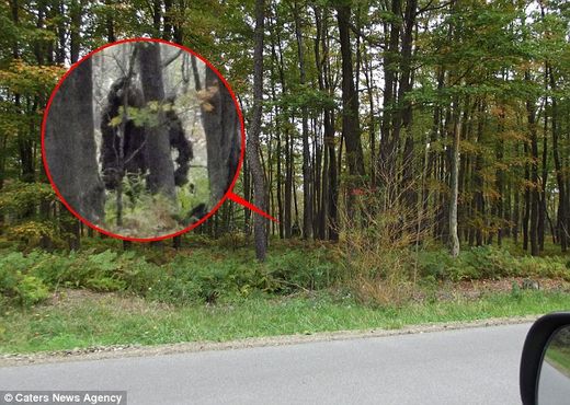 Does this image show TWO Bigfoot creatures? Woodsman photographed 'moving beast' in Pennsylvania... but there is no sign of it now 15